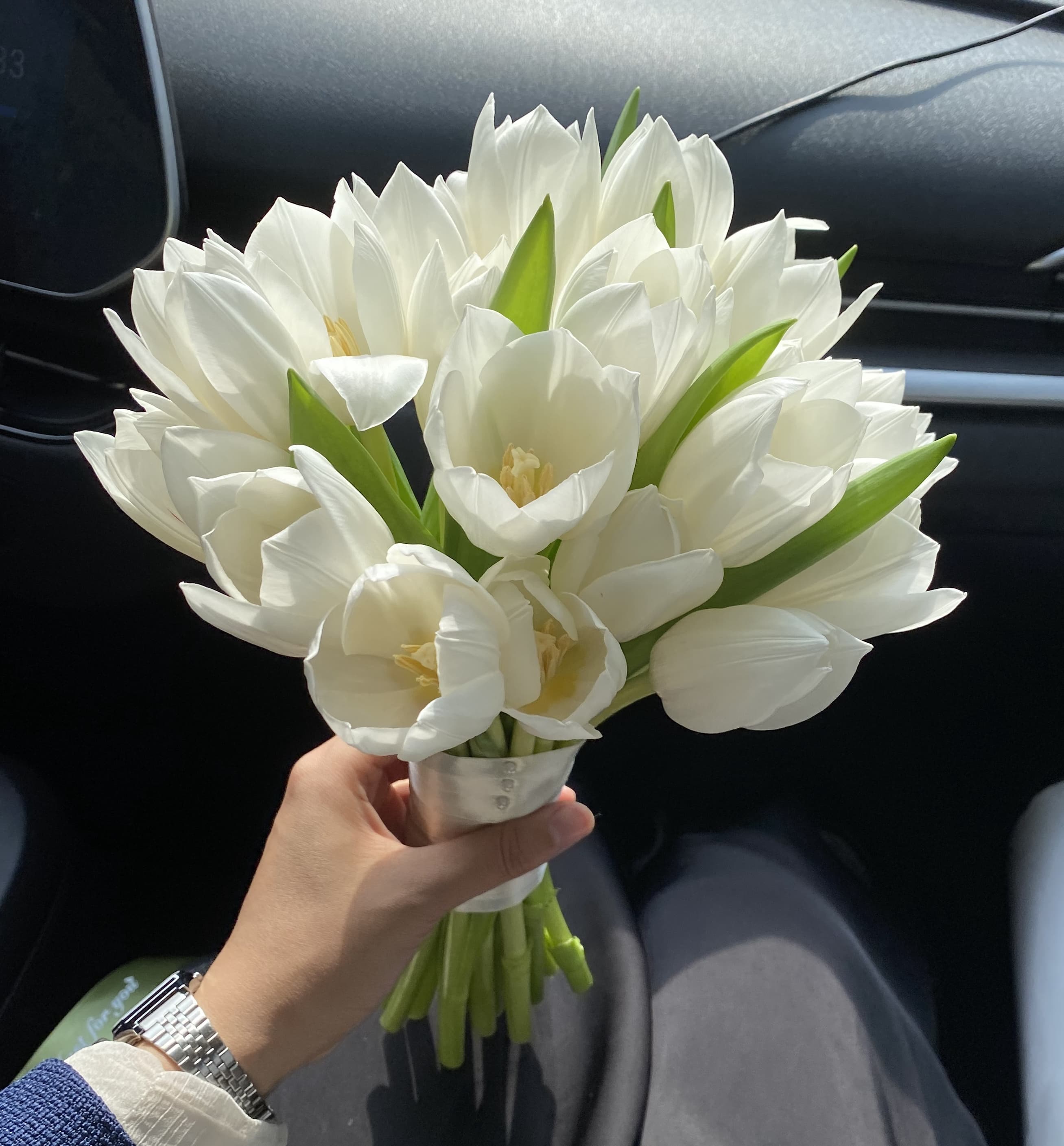 Bộ sưu tập hoa Aloha Flora